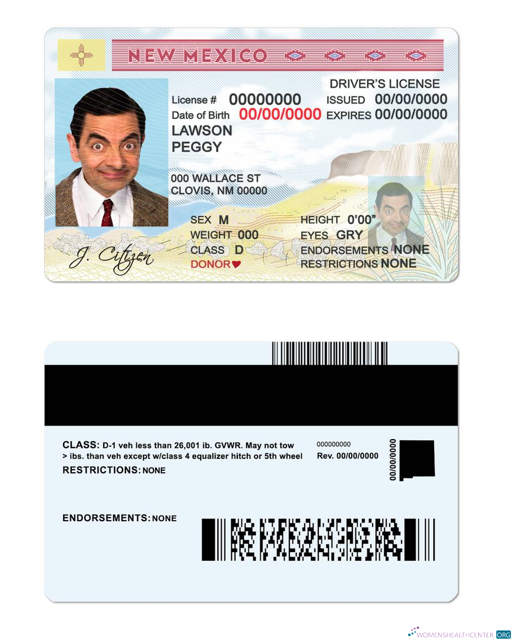 download USA State New Mexico driving license
